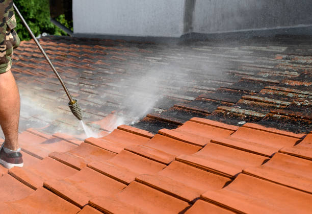 Best Best Pressure Washing Companies  in Hillsborough, NJ